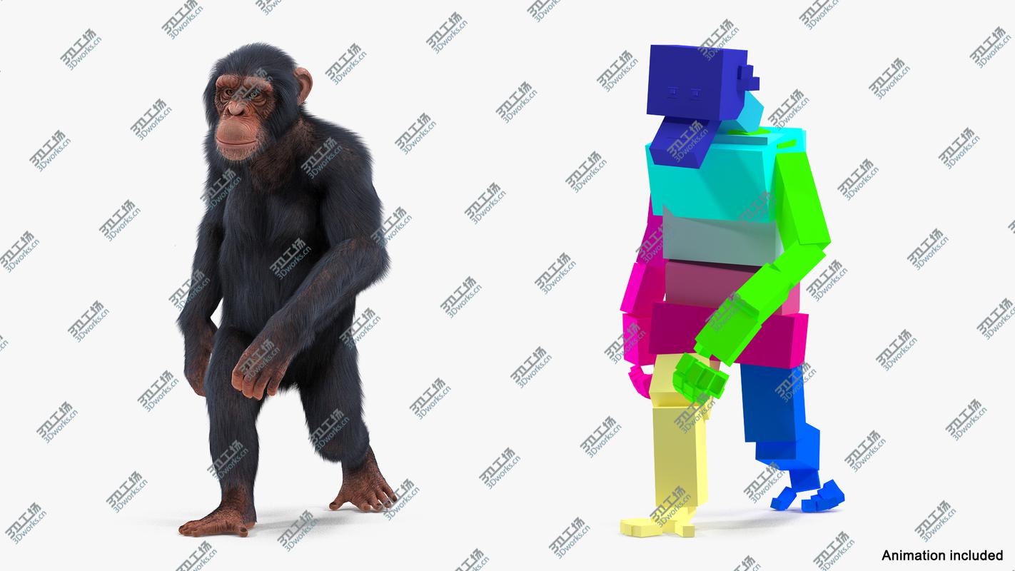 images/goods_img/2021040162/Light Chimpanzee Rigged with Fur 3D/4.jpg